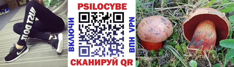 купить наркотики сайты  Зима  Псилоцибиновые грибы GOLDEN TEACHER 